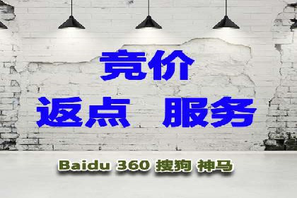 百度竞价代理的客户案例：如何实现ROI最大化